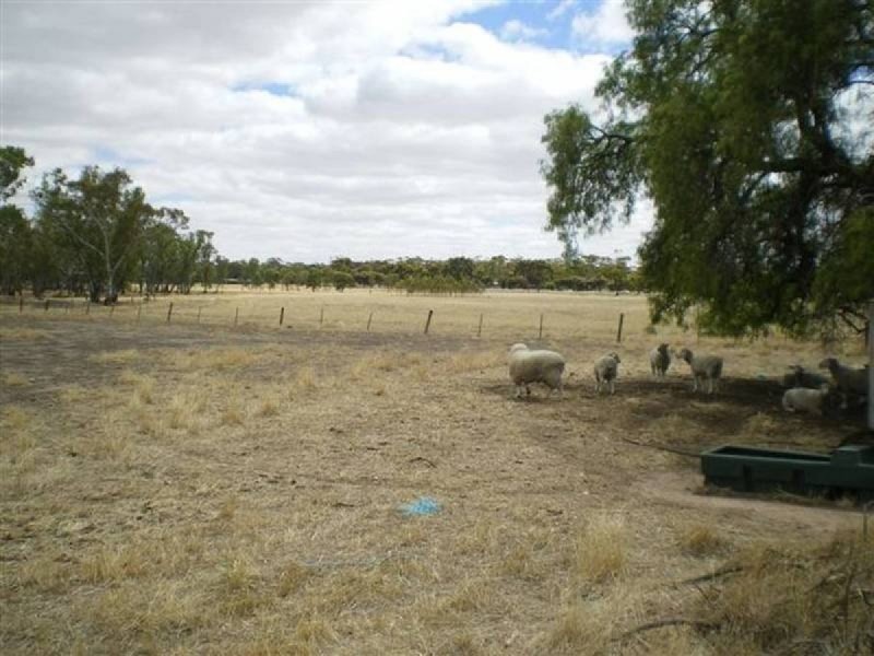 1 Cnr Swallow Lane & Nhill Road, Dimboola VIC 3414