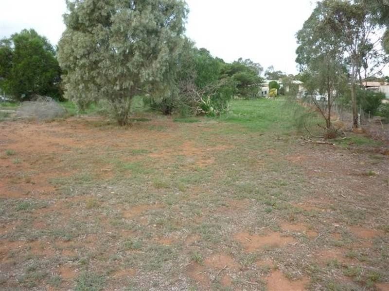 21 Elizabeth Street, Donald VIC 3480