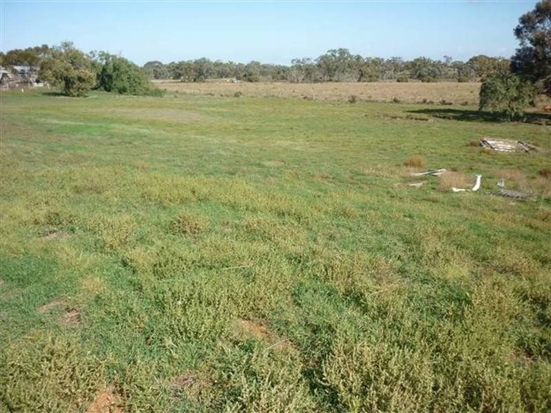 27 Elizabeth Street, Donald VIC 3480