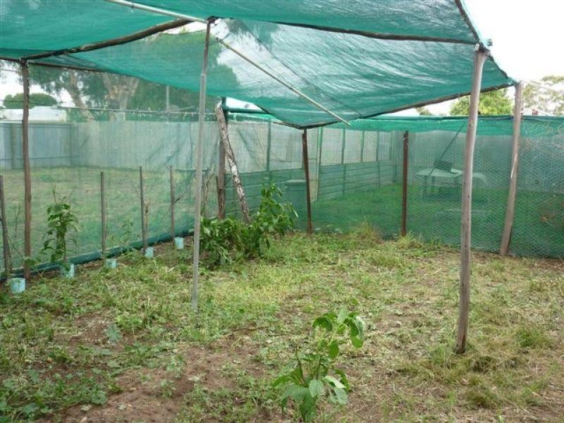 2 Dixon street, Brim VIC 3391