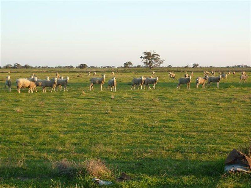 Lot Aitken Avenue, Donald VIC 3480