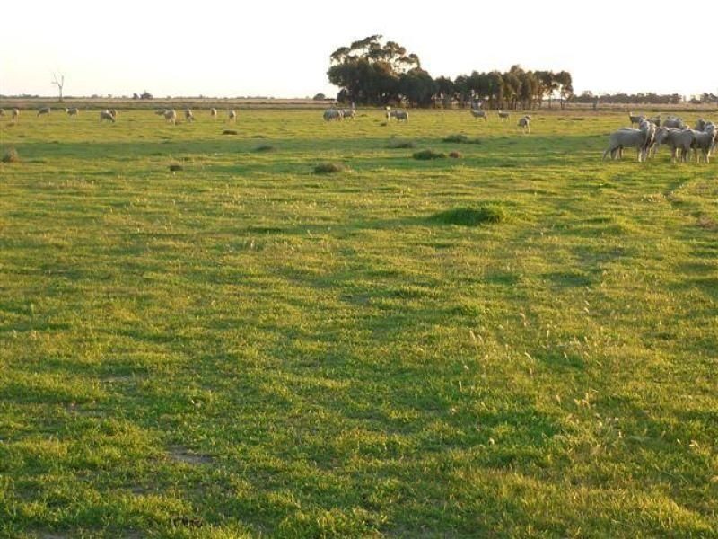 Lot Aitken Avenue, Donald VIC 3480