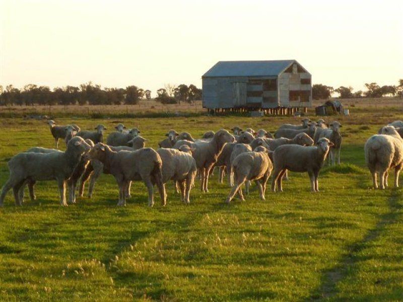 Lot Aitken Avenue, Donald VIC 3480