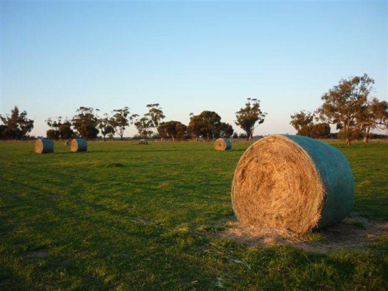 Lot Aitken Avenue, Donald VIC 3480