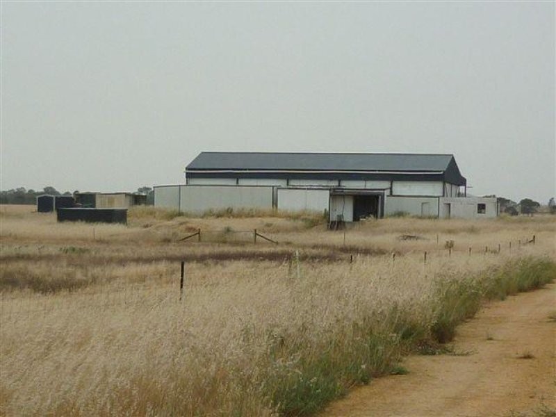3341 Borung Highway, Donald VIC 3480