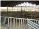 3341 Borung Highway, Donald VIC 3480
