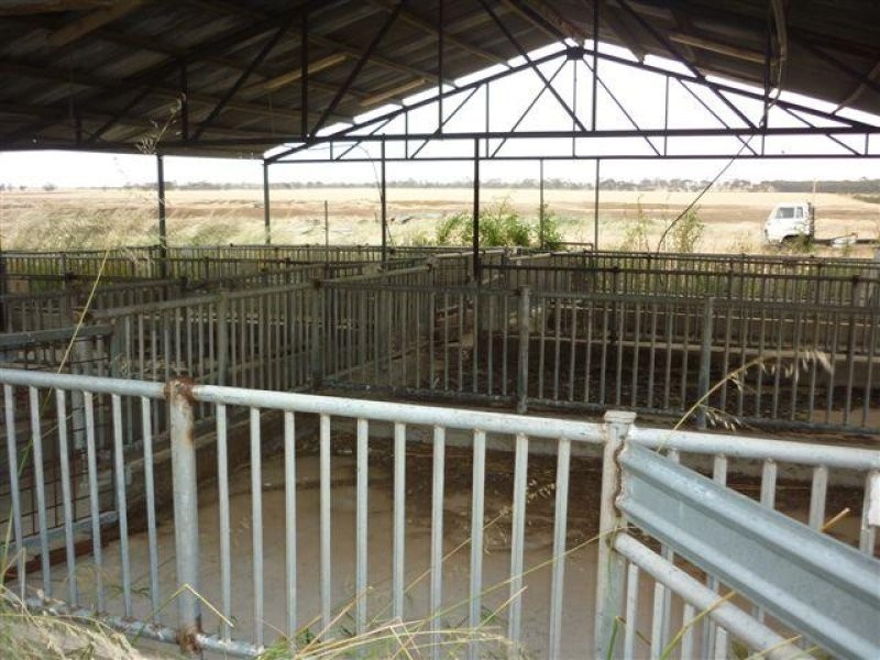 3341 Borung Highway, Donald VIC 3480