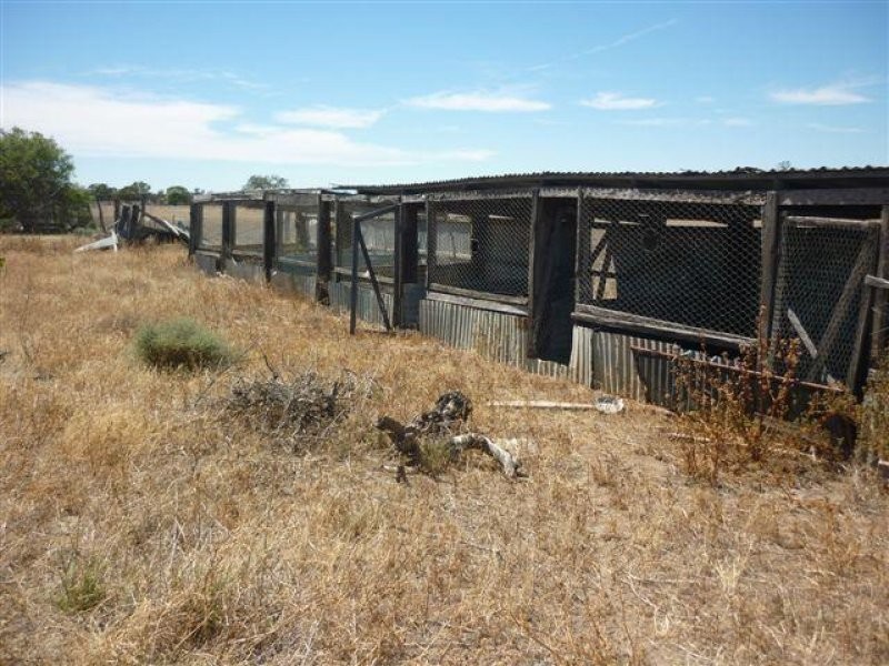 68 Lower Roy Street, Jeparit VIC 3423