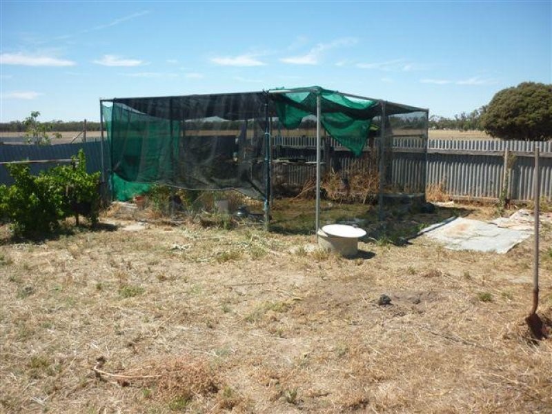 68 Lower Roy Street, Jeparit VIC 3423