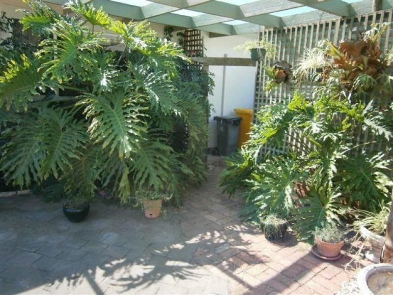 3 Petering Street, Minyip VIC 3392