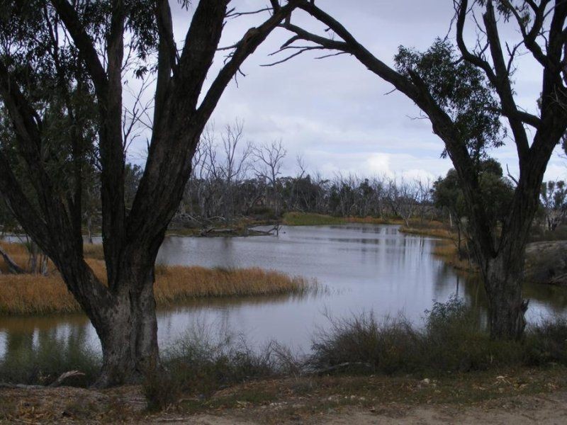 2 Daphne Street, Jeparit VIC 3423