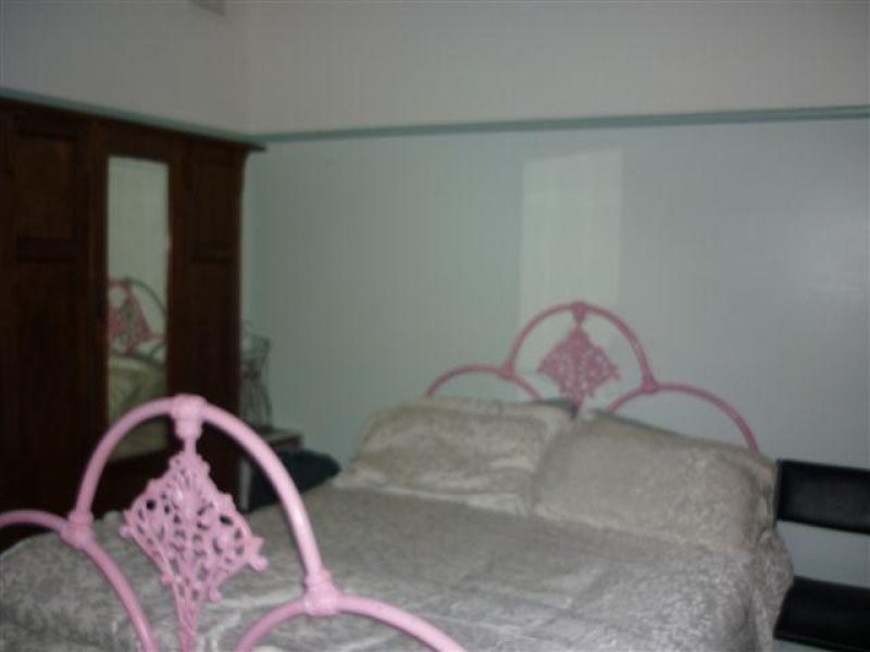 163 Woods Street, Donald VIC 3480