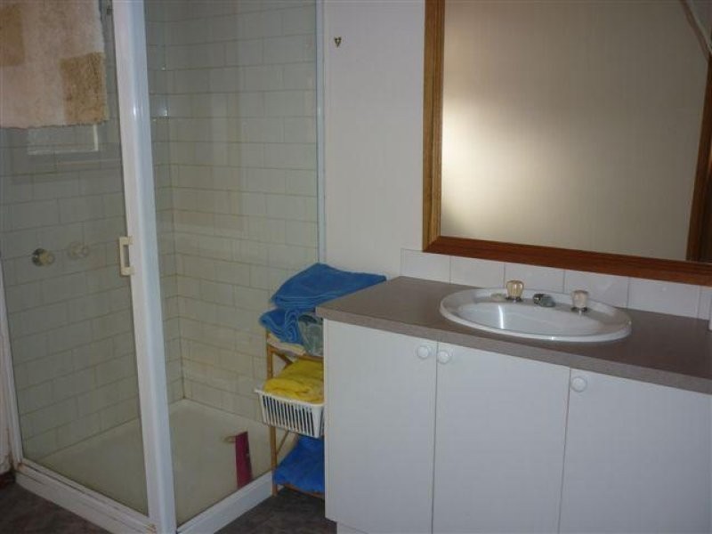 163 Woods Street, Donald VIC 3480