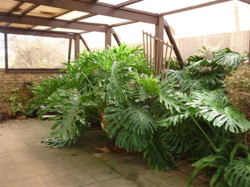 10 Campbell Street, Donald VIC 3480