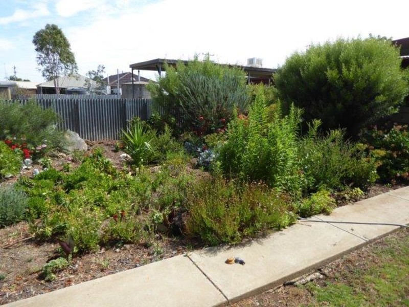 149 Lascelles Street, Hopetoun VIC 3396