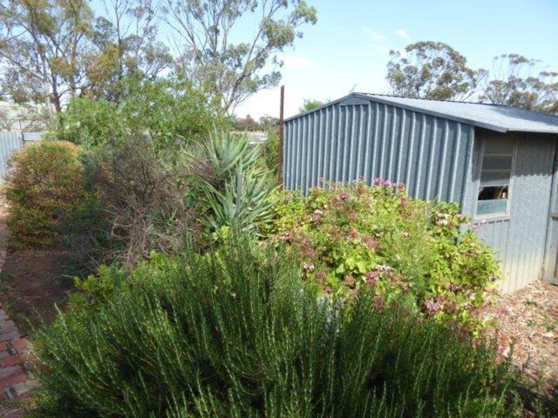 149 Lascelles Street, Hopetoun VIC 3396