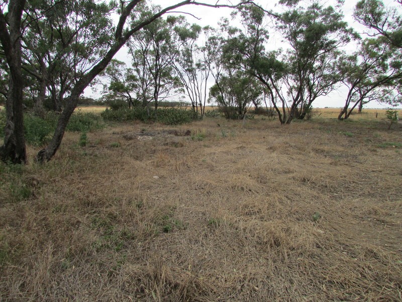 56 Luna Park Road, Beulah VIC 3395