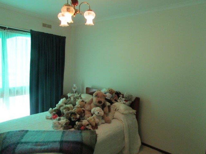 49 Roy Street, Jeparit VIC 3423