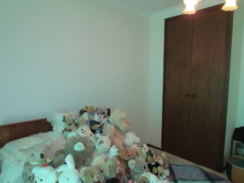 49 Roy Street, Jeparit VIC 3423