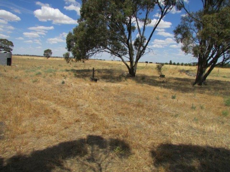 113 Government Road, Warracknabeal VIC 3393