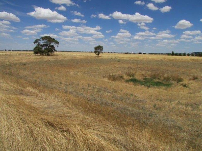 113 Government Road, Warracknabeal VIC 3393