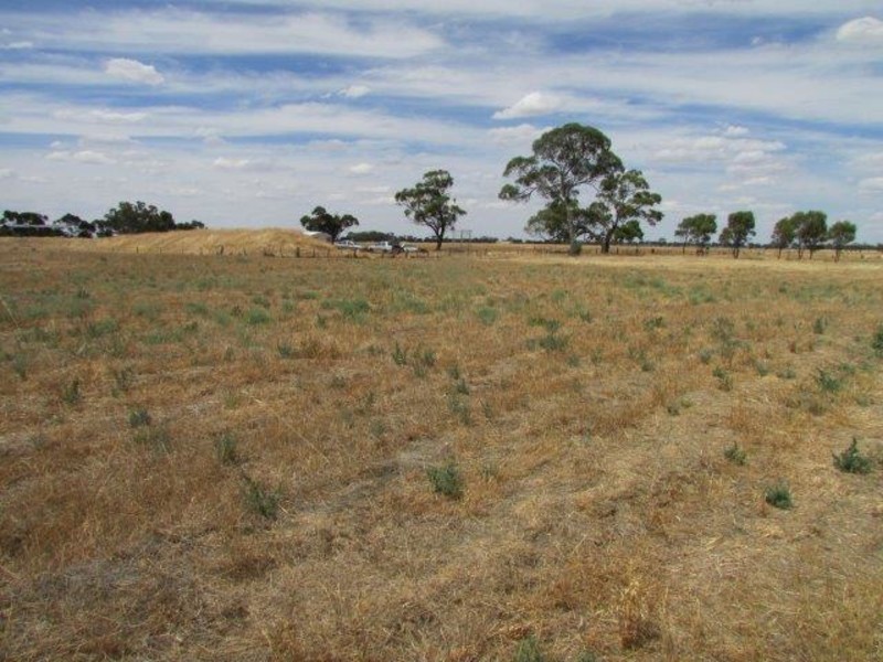 113 Government Road, Warracknabeal VIC 3393