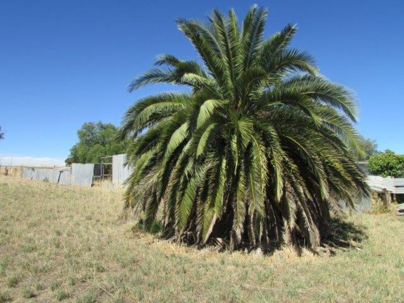 5 Broadway, Jeparit VIC 3423