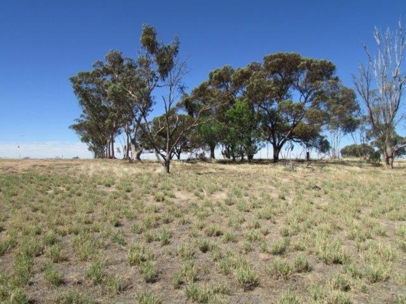 5 Broadway, Jeparit VIC 3423