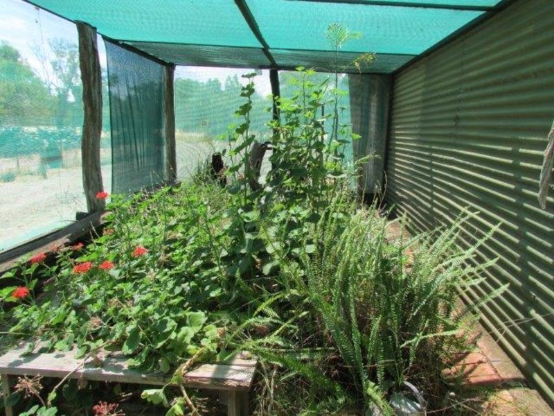 111 Bushby Lane, Dimboola VIC 3414