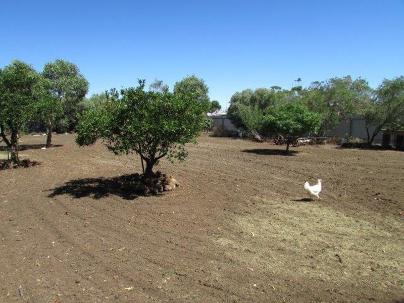 22 Asquith Reserve, Warracknabeal VIC 3393