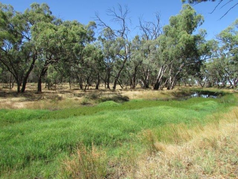 22 Asquith Reserve, Warracknabeal VIC 3393