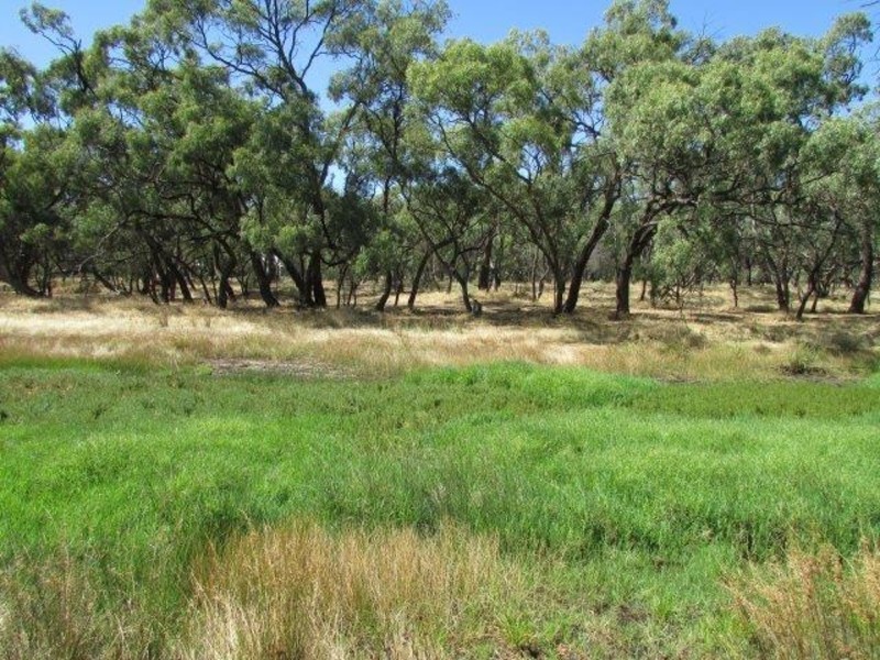 22 Asquith Reserve, Warracknabeal VIC 3393