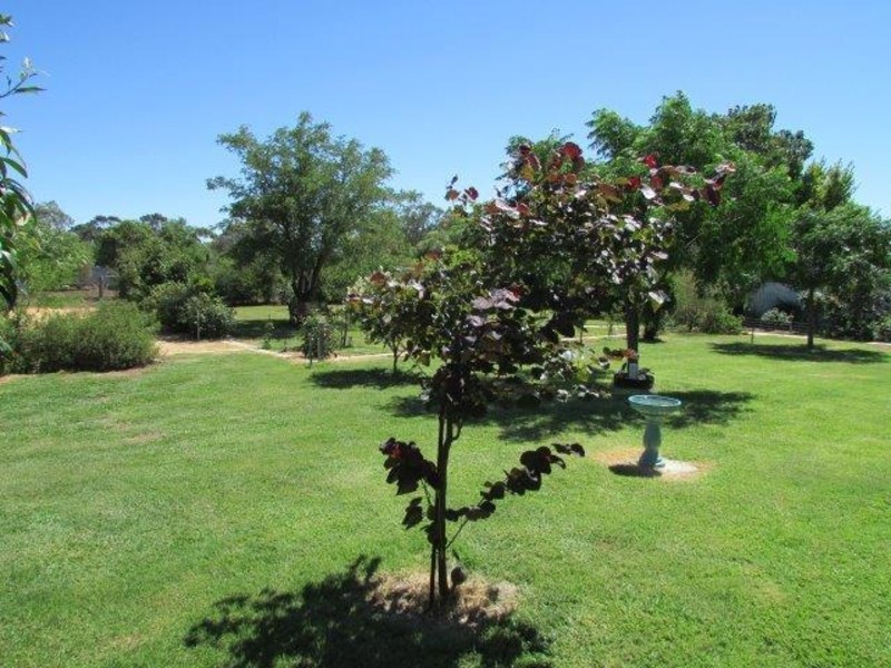 22 Asquith Reserve, Warracknabeal VIC 3393