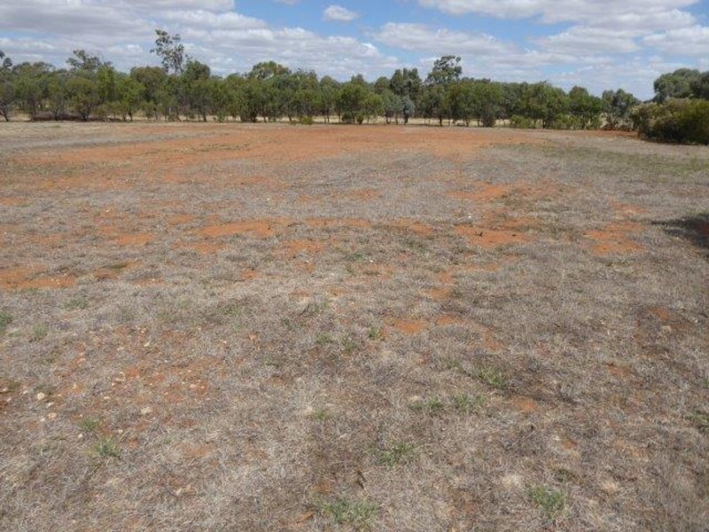 164 A. Campbell Road, Jeffcott North, Donald VIC 3480