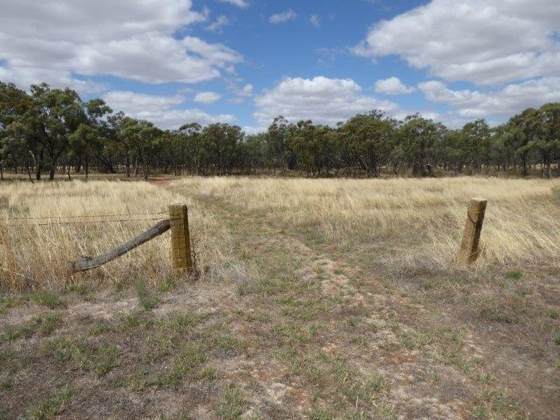 164 A. Campbell Road, Jeffcott North, Donald VIC 3480