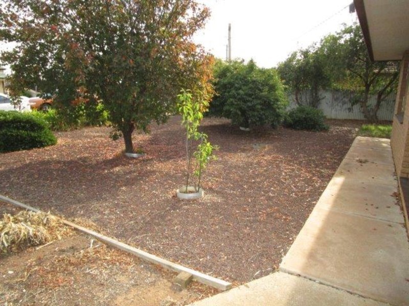 12 Hammill Street, Donald VIC 3480