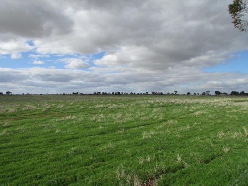 Lots 4 & 5 Birchip – Wycheproof Road, Birchip VIC 3483