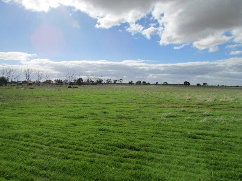 Lots 4 & 5 Birchip – Wycheproof Road, Birchip VIC 3483