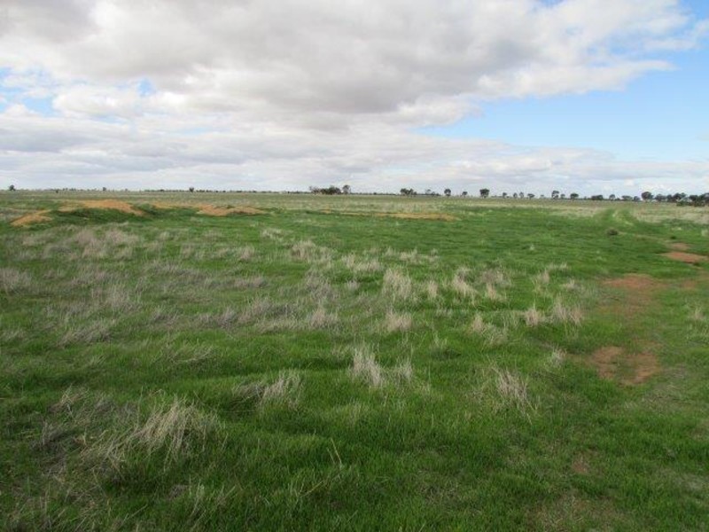 Lots 4 & 5 Birchip – Wycheproof Road, Birchip VIC 3483