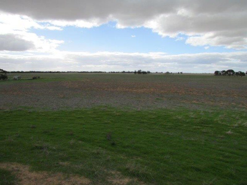 Lots 4 & 5 Birchip – Wycheproof Road, Birchip VIC 3483