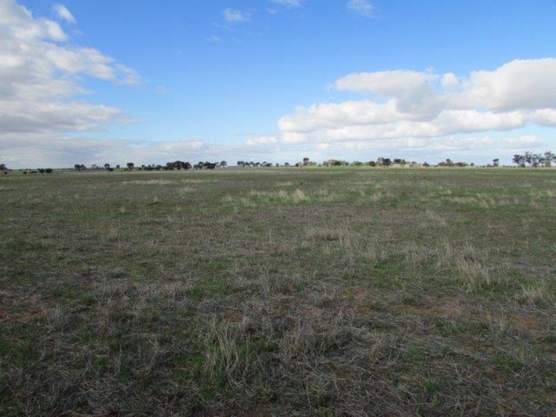 Lots 4 & 5 Birchip – Wycheproof Road, Birchip VIC 3483