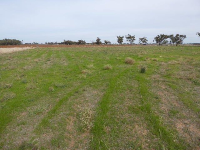 Lot 3, 158 Lascelles Street, Hopetoun VIC 3396