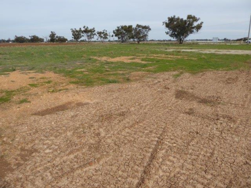 Lot 4, 158 Lascelles Street, Hopetoun VIC 3396