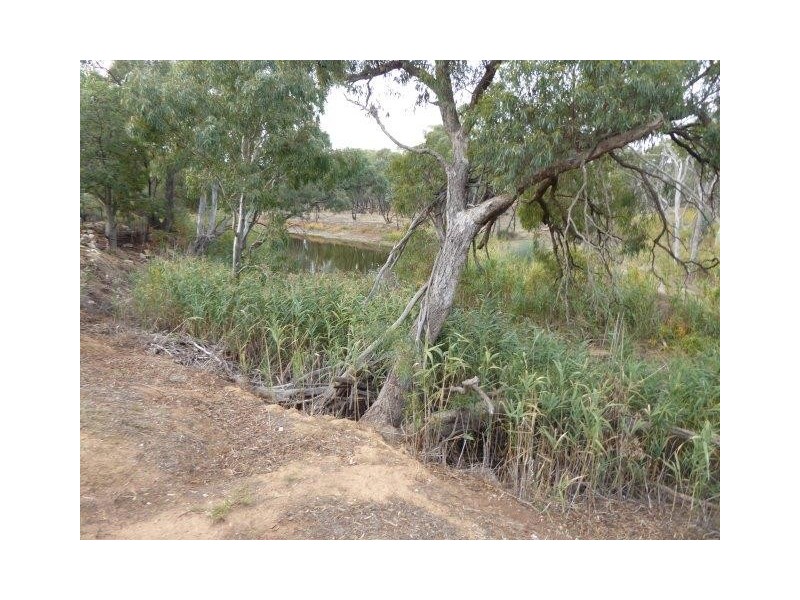 15 Camp Street, Donald VIC 3480