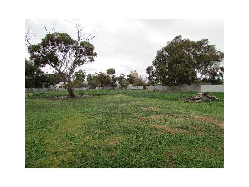 48 Hammill Street, Donald VIC 3480