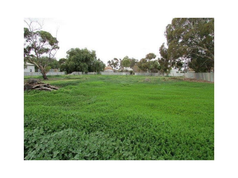 48 Hammill Street, Donald VIC 3480