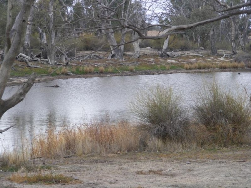 2 Daphne Street, Jeparit VIC 3423