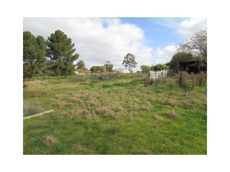 14 Church Street, Woomelang VIC 3485