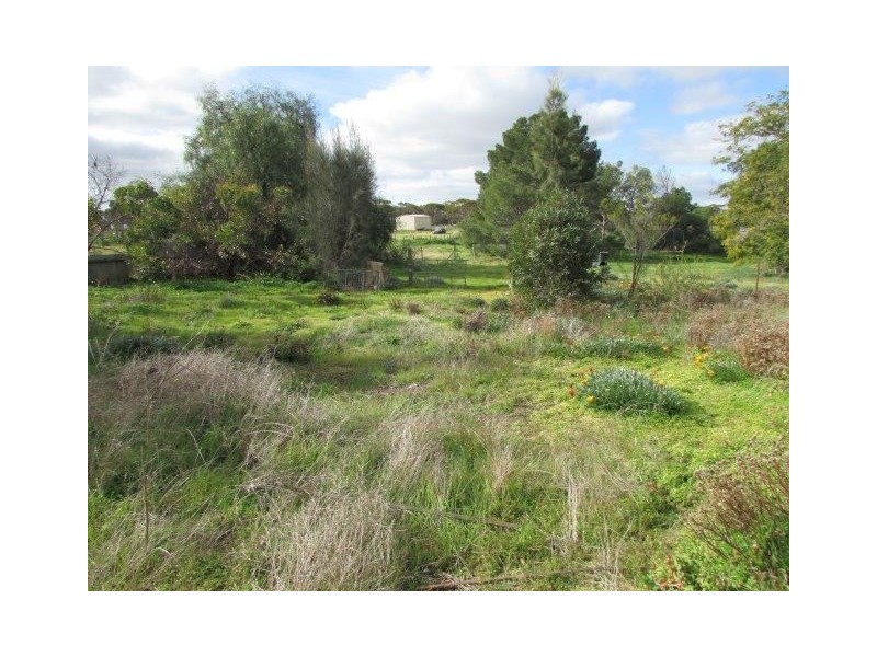 14 Church Street, Woomelang VIC 3485