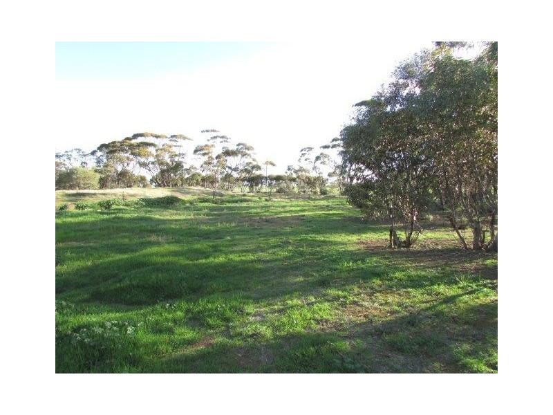 2504 Sunraysia Highway, Curyo VIC 3483